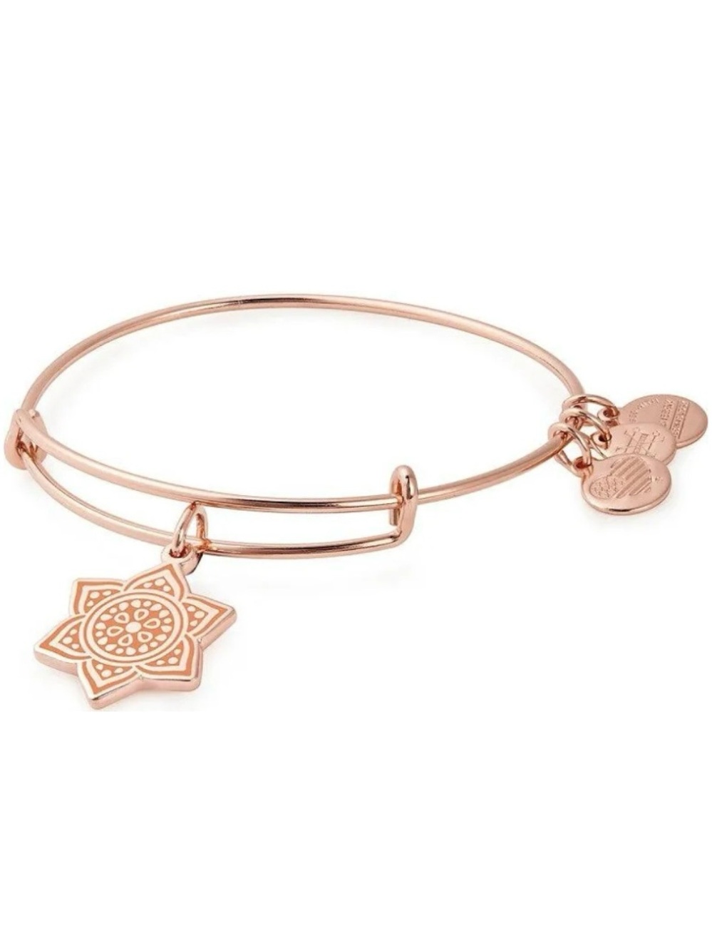 NWT! Alex and Ani The Sacral Chakra Expandable Bangle Bracelet - Rose Gold